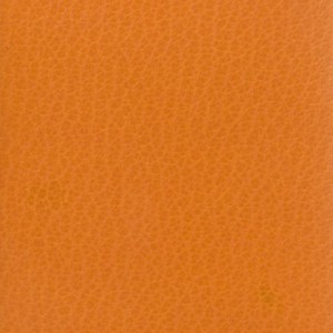 43 Оранжевая